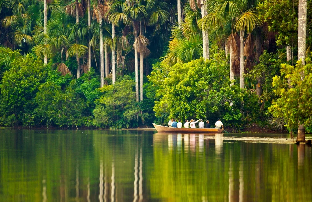 Tour tambopata